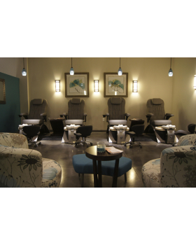 Педикюрное СПА кресло "Echo SE Features"